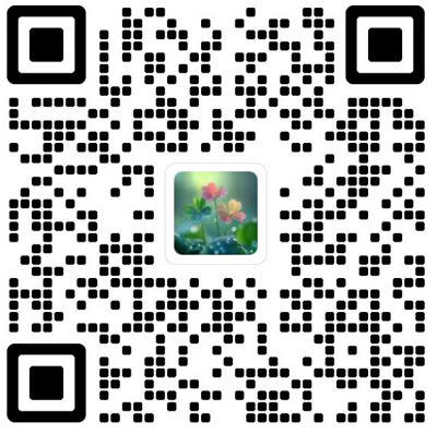Chinese Quarterly Journal of Mathematics杂志模板